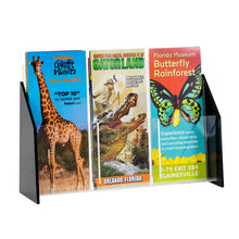 Load image into Gallery viewer, Black Acrylic Trifold Brochure Holder for Countertop, Holds 4 x 9 Brochures