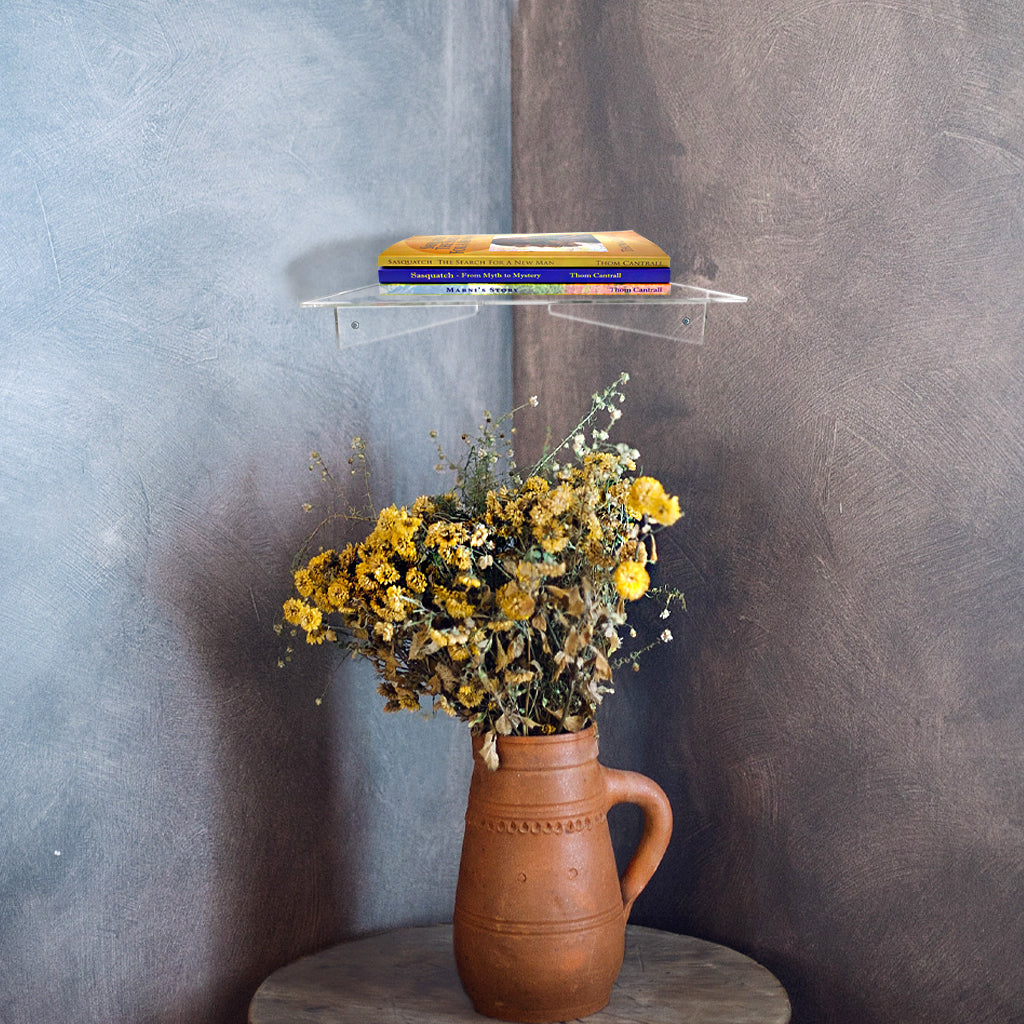 Clear Acrylic Corner Shelf