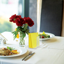 Load image into Gallery viewer, Clear Acrylic Napkin Holder for indoors or outdoors