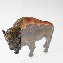 Load image into Gallery viewer, Clear Acrylic Sheet