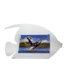 Countertop Fish Postcard Holder