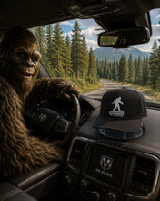 Load image into Gallery viewer, Hat Holder, Hat Halo - Display and Hold your hat in your car or truck