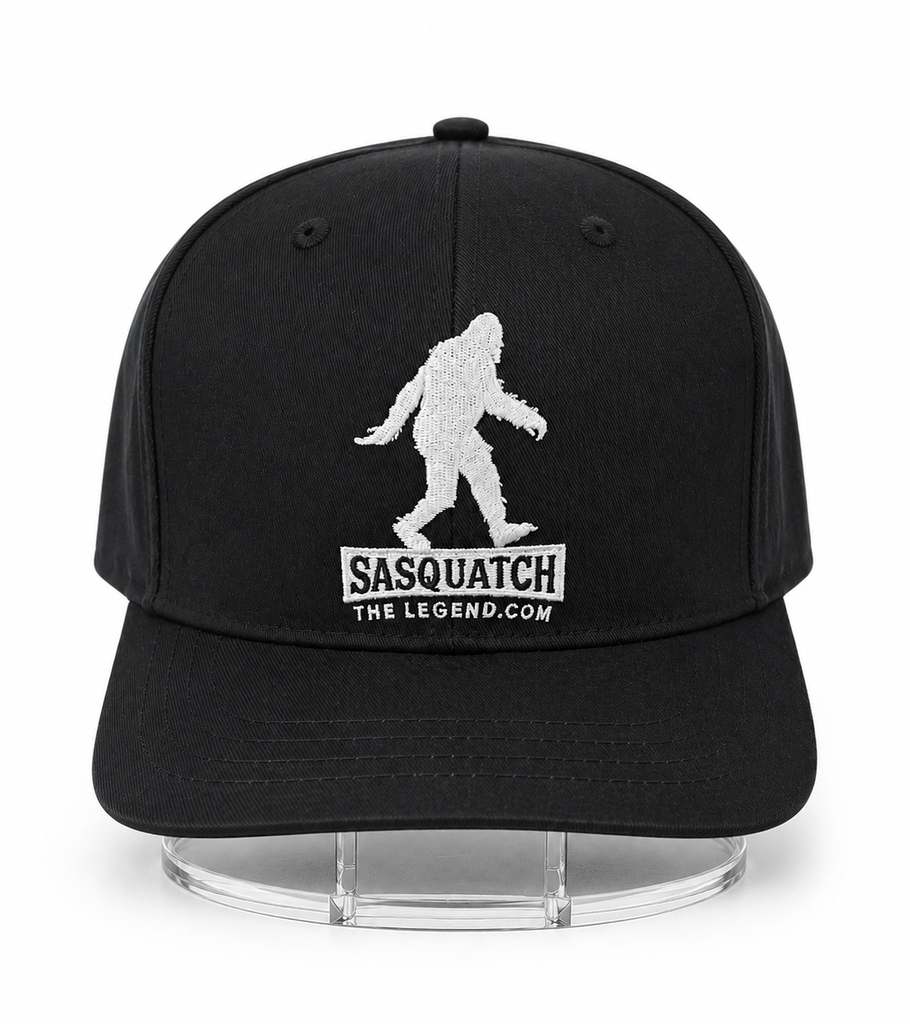 Hat Holder, Hat Halo - Display and Hold your hat in your car or truck