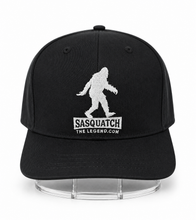Load image into Gallery viewer, Hat Holder, Hat Halo - Display and Hold your hat in your car or truck